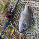 Boggy ENO BXT CHAMPLOO 76C Butt Joint Baitcasting Rod
