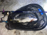 Boggy ENO BXT CHAMPLOO 76C Butt Joint Baitcasting Rod