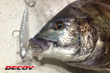 Decoy SV-34BT S.G.Head BT Jighead