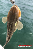 Decoy SV-34BT S.G.Head BT Jighead