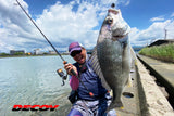 Decoy SV-48 Switch Magic Jighead