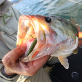 Decoy Worm 23 Body Hook Worm Hook
