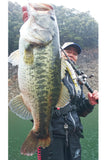Decoy Treble  Treble Hook