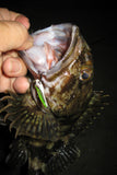 Decoy Y-S25 Treble Hook