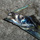DECOY SV-34 Jighead S.G