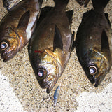 DECOY SV-51 Delta Magic Jig Heads