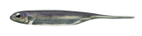 Fish Arrow Flash-J 3" Soft Plastics