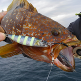 LITTLE JACK Metal Adict01 Slow Jigs 85mm 60g