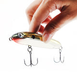 RaPaLa Skitter V SKV10